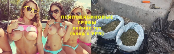 таблы Богданович