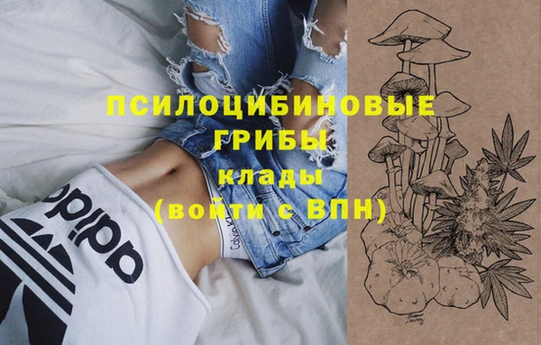 МДМА Богородицк